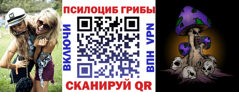 Галлюциногенные грибы Magic Shrooms  дарнет шоп  Борзя 
